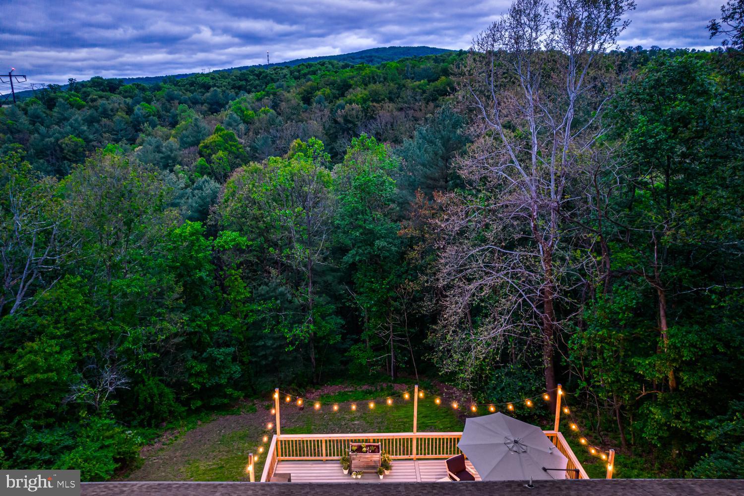 276 Deerhaven Road Front Royal, VA 22630 - Photo 59 of 61 Twilight View