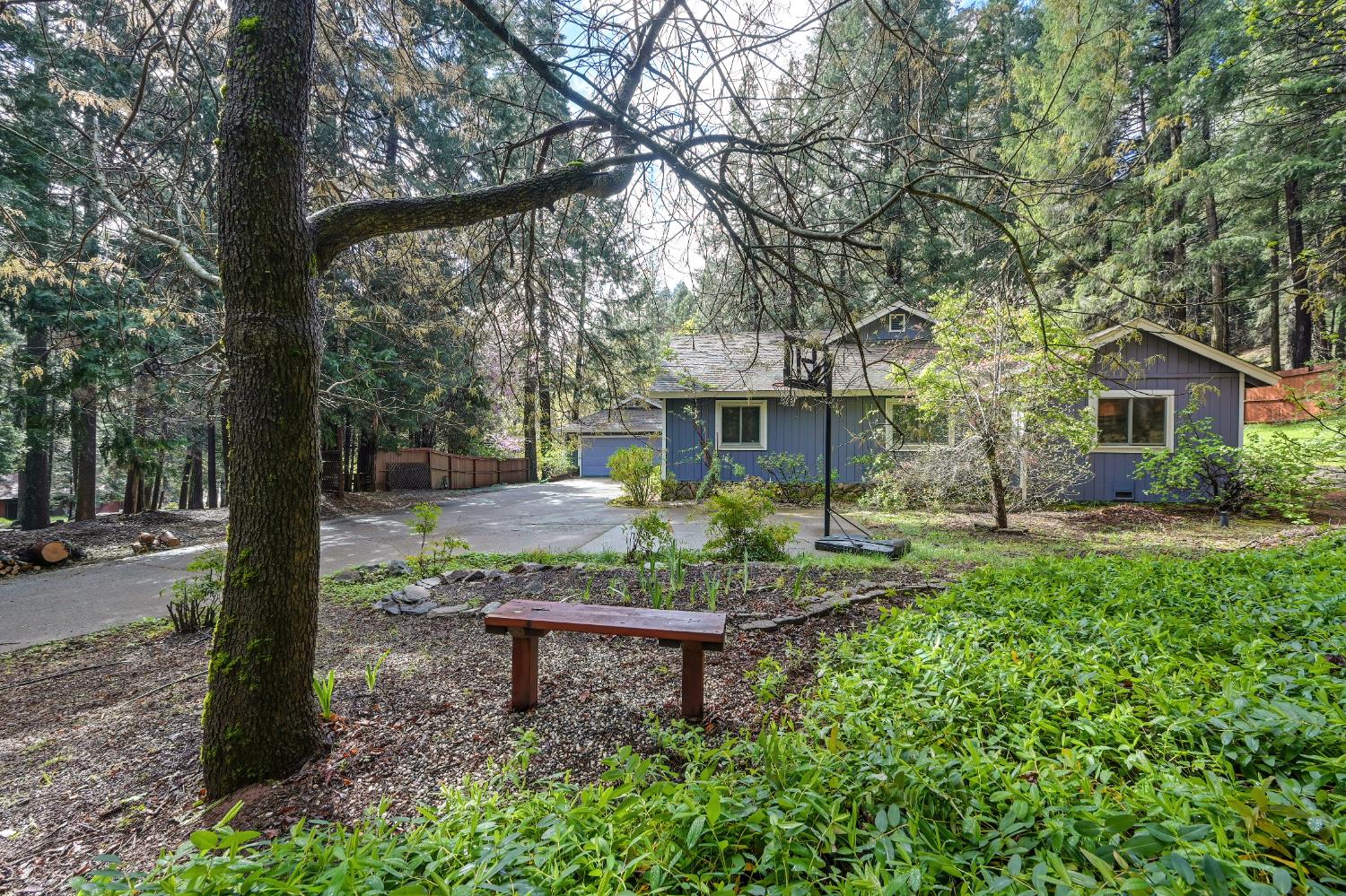 4580 Jenkinson Circle Pollock Pines, CA 95726 - Photo 2 of 78