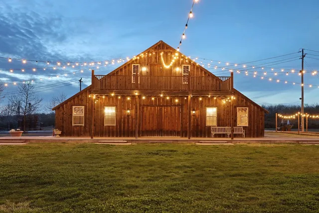 a view of a forest with lots of trees