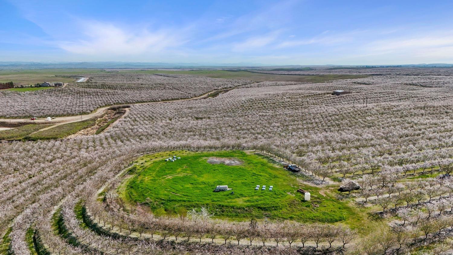 10031 Frankenheimer Road Oakdale, CA 95361 - Photo 27 of 95