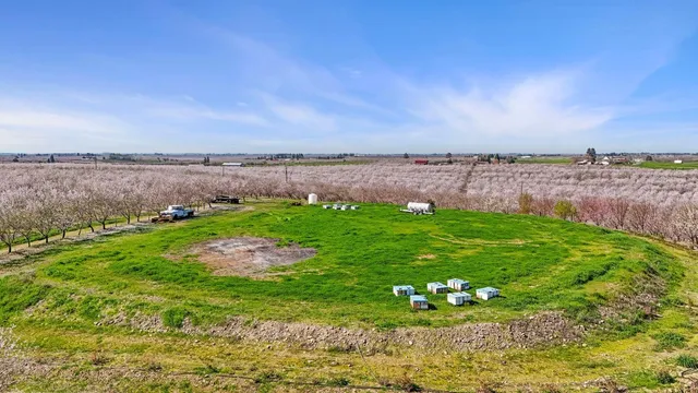 a dining room with furniture and a floor to ceiling window