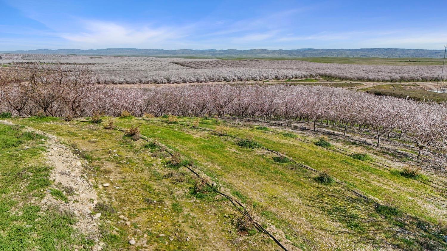 10031 Frankenheimer Road Oakdale, CA 95361 - Photo 30 of 95 a view of an outdoor space and a lake view