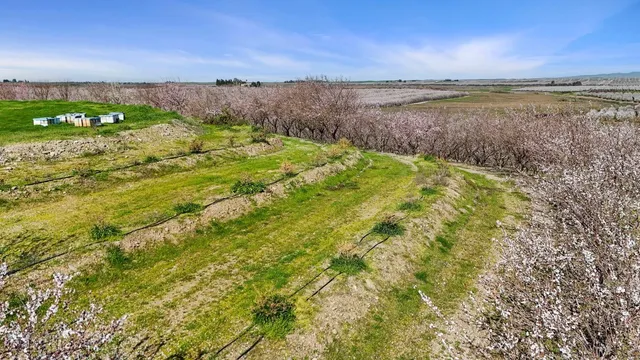 a front view of a house with a garden and yard