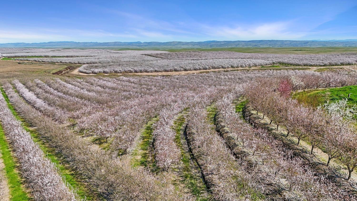 10031 Frankenheimer Road Oakdale, CA 95361 - Photo 49 of 95