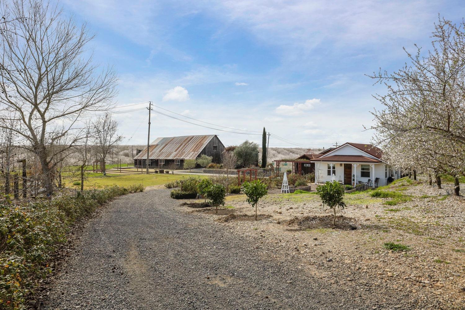 10031 Frankenheimer Road Oakdale, CA 95361 - Photo 51 of 95