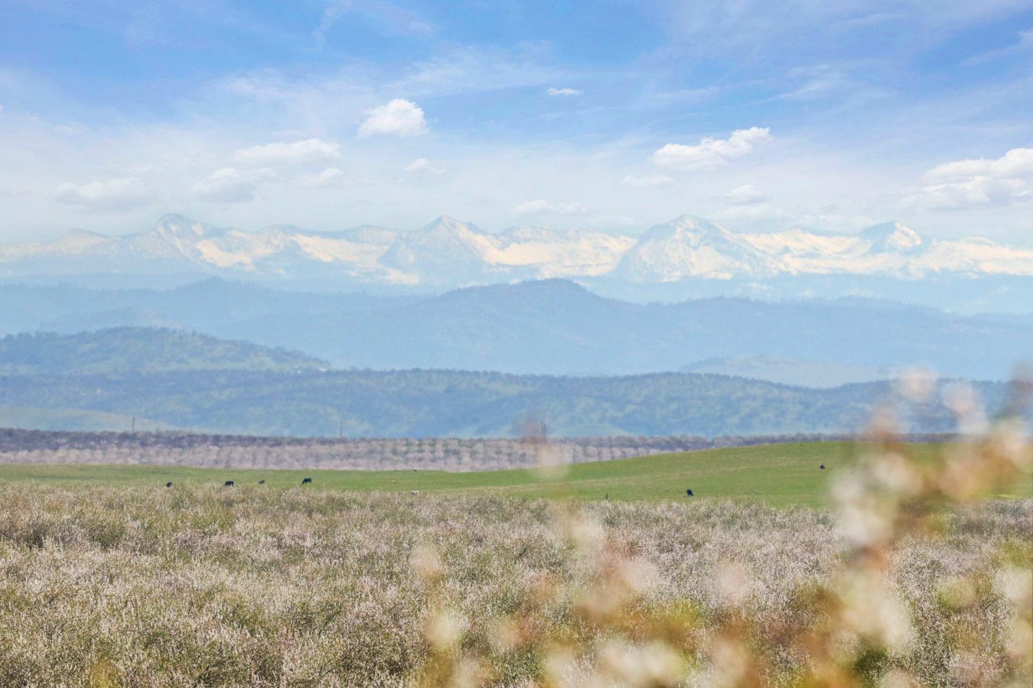 10031 Frankenheimer Road Oakdale, CA 95361 - Photo 84 of 95