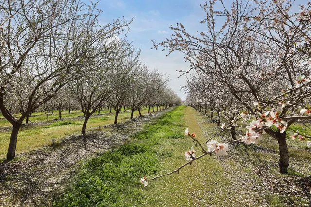 $5,893,000 | 10031 Frankenheimer Road, Oakdale, CA 95361