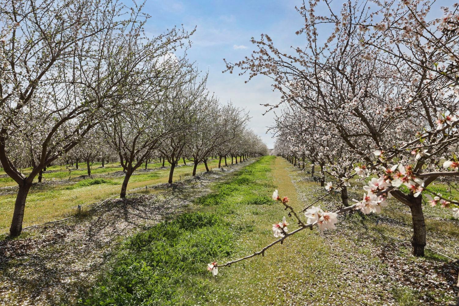 10031 Frankenheimer Road Oakdale, CA 95361 - Photo 88 of 95