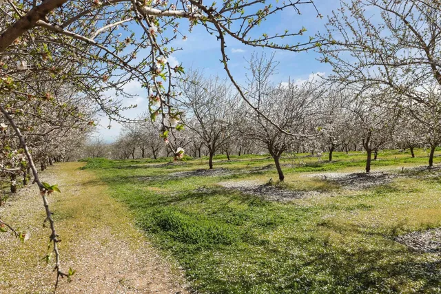 $5,893,000 | 10031 Frankenheimer Road, Oakdale, CA 95361