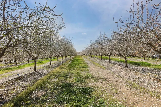 $5,893,000 | 10031 Frankenheimer Road, Oakdale, CA 95361