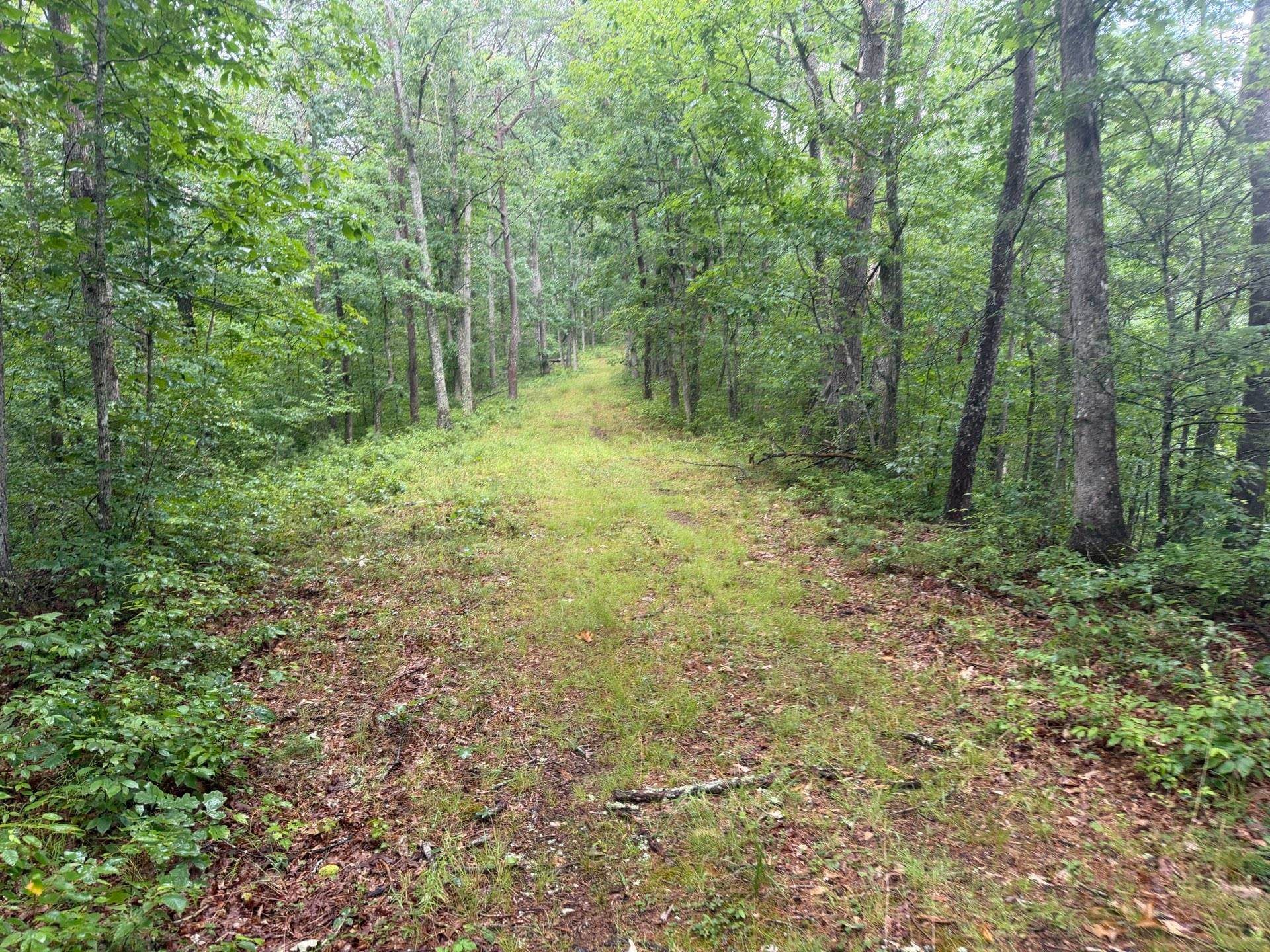 Tbd Short Ridge Drive Bland, VA 24315 - Photo 63 of 125 Gallery Image 63