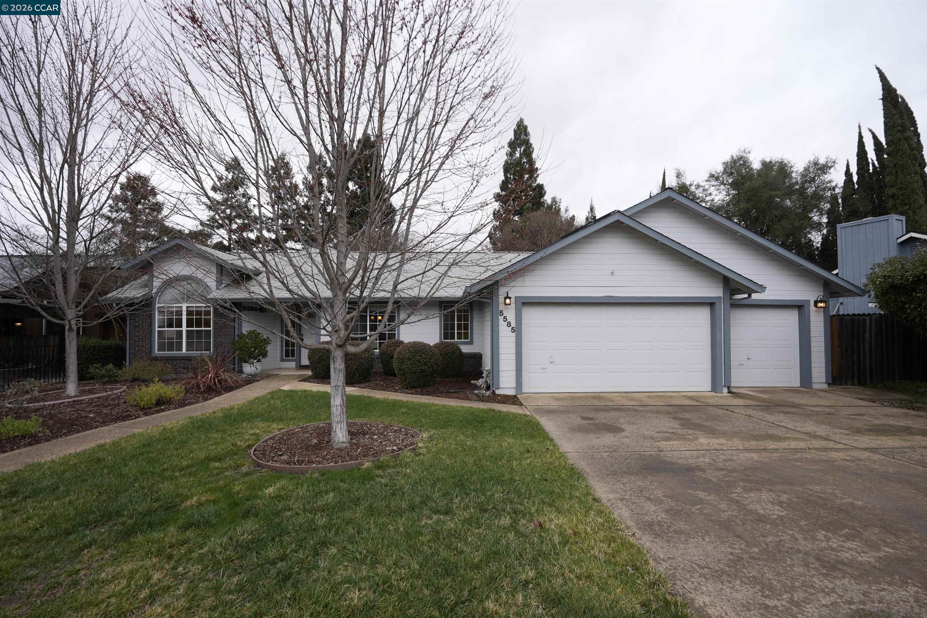 a view of a house with a yard and large tree
