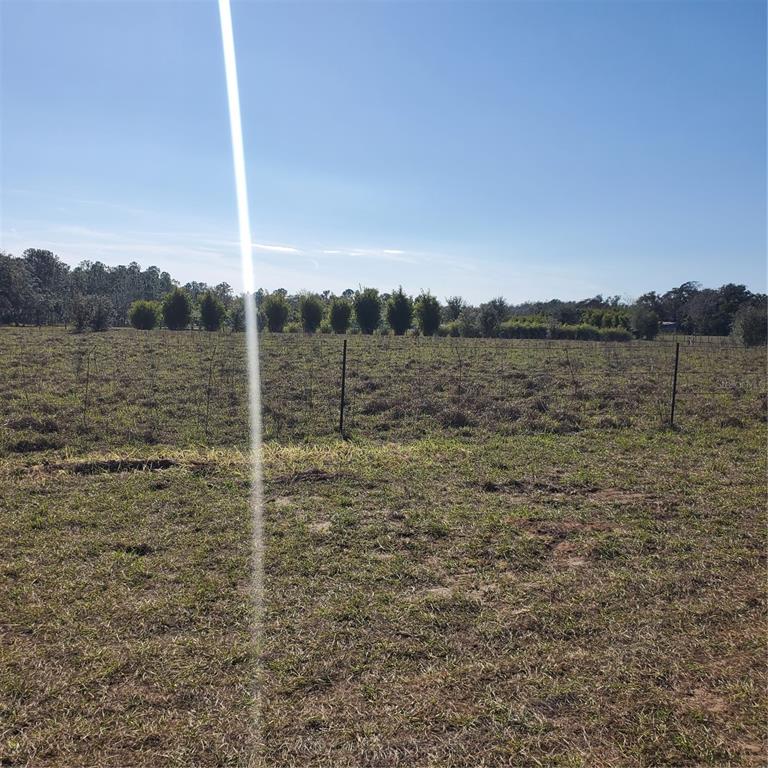 2926 Sharon Road Groveland, FL 34736 - Photo 13 of 16 a view of lake