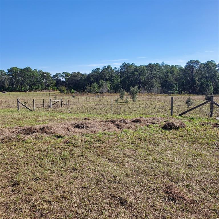 2926 Sharon Road Groveland, FL 34736 - Photo 14 of 16 a view of a lake with a house in the background