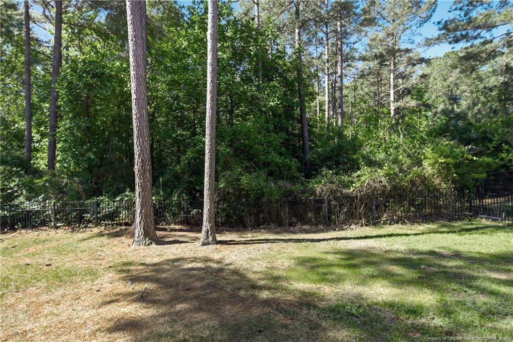 182 Valley Stream Road Spring Lake, NC 28390 - Photo 30 of 33 Photo 30