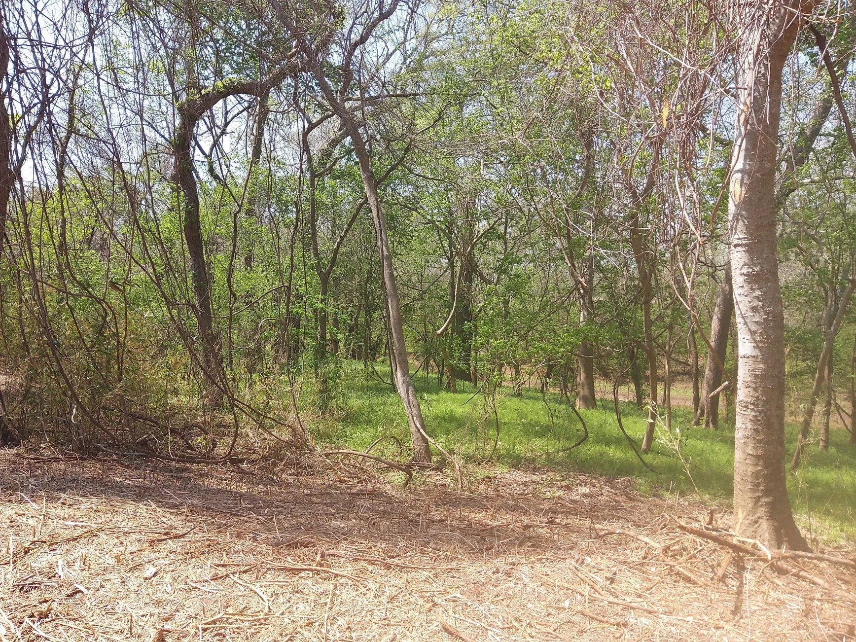 Lot 2 Fm 521 Angleton, TX 77515 - Photo 21 of 26