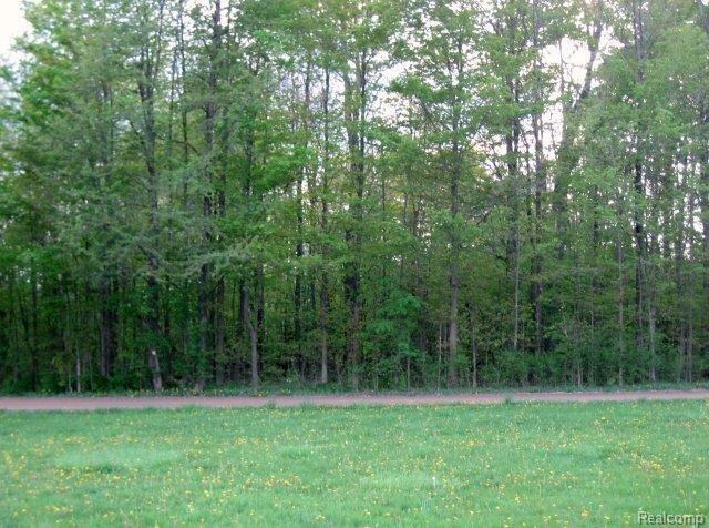 6800 Willits Road Fostoria, MI 48435 - Photo 21 of 23 Front Yard