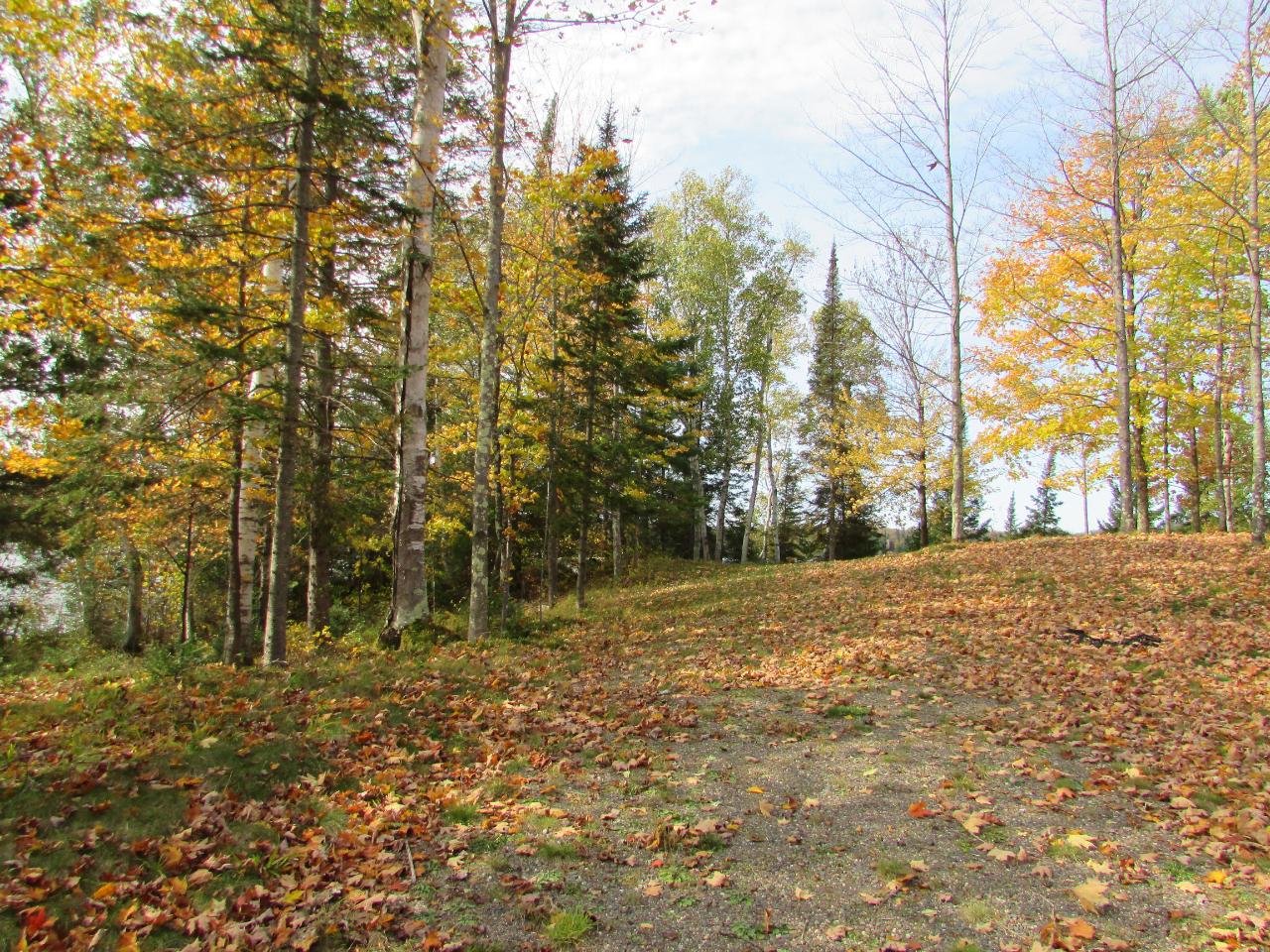 Lot 10 Rustic Road Presque Isle, WI 54557 - Photo 6 of 30 Gallery Image 6