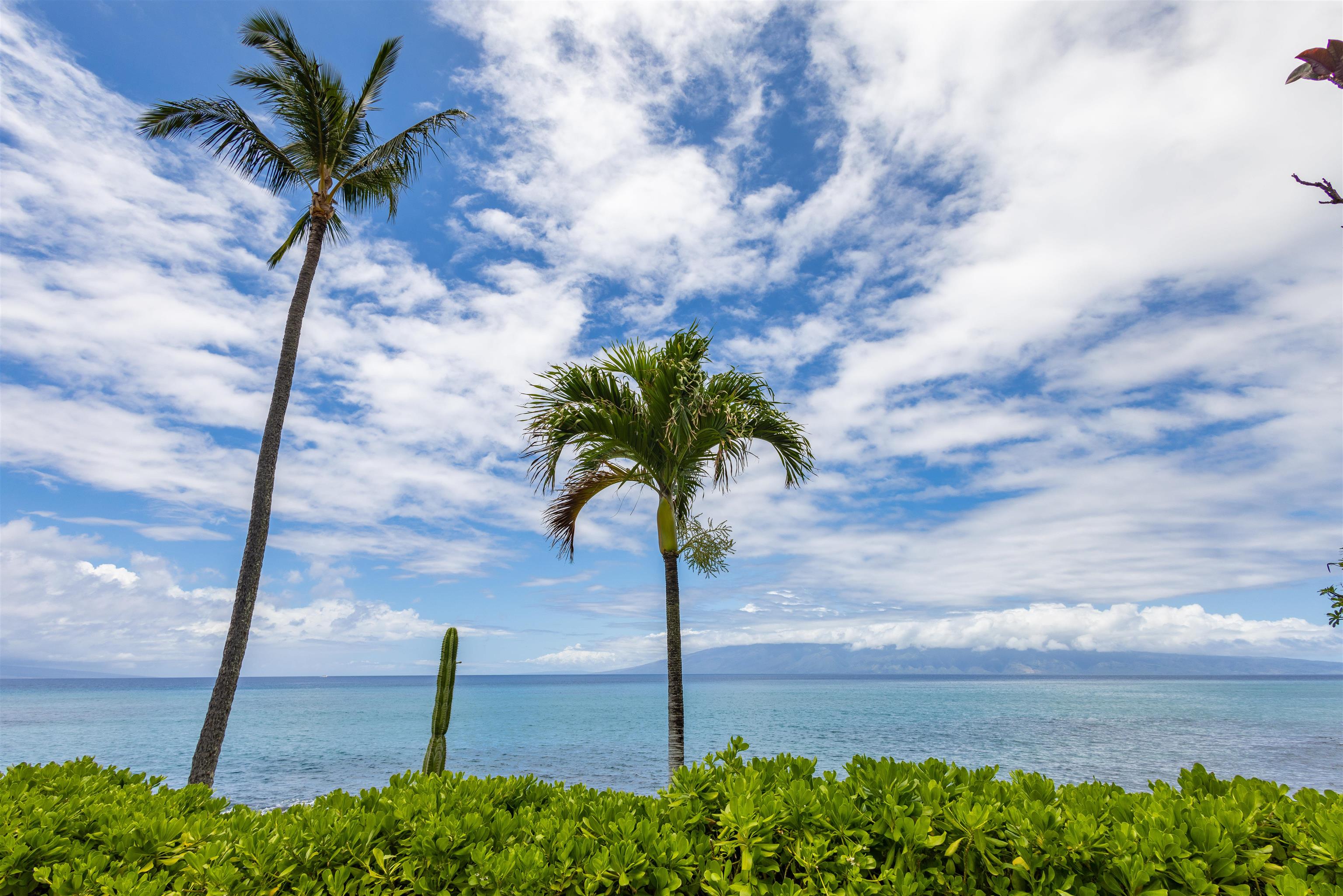 3959 Lower Honoapiilani Road, Unit 406 Lahaina, HI 96761 - Photo 17 of 27 Gallery Image 17