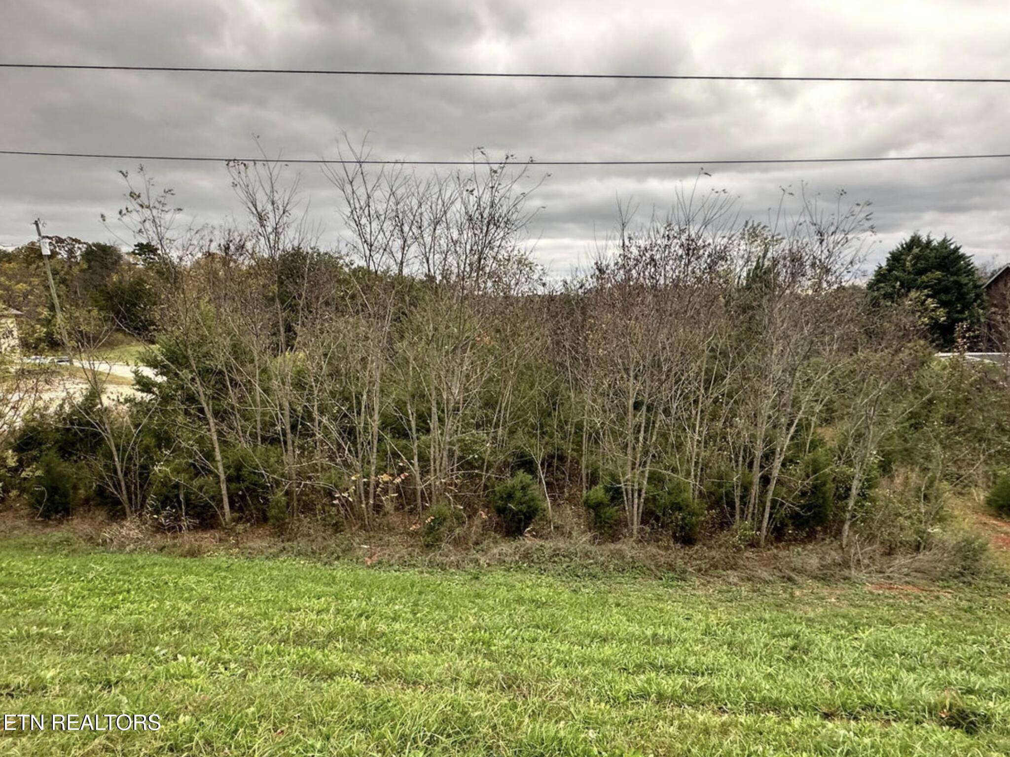 92 Highway 92 Dandridge, TN 37725 - Photo 2 of 2 IMG_5463