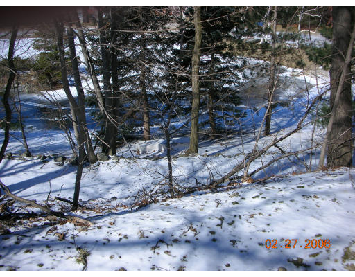 69-71 Louise Road Newton, MA 02467 - Photo 22 of 22
