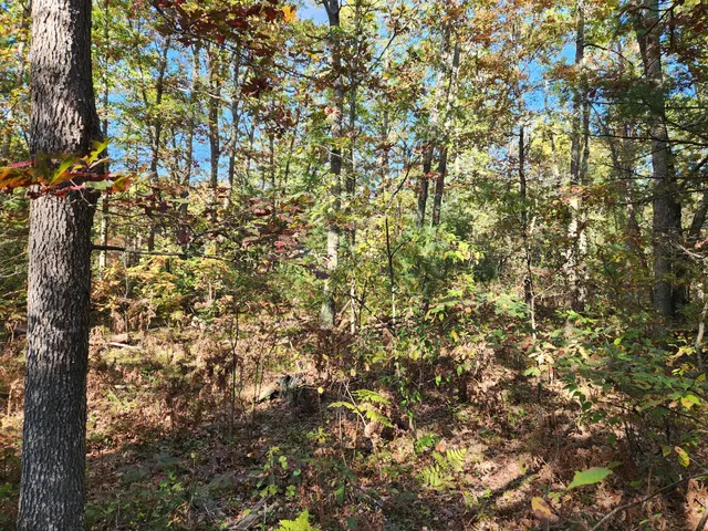 $60,000 | 259 South Baker Road, Wellston, MI 49689