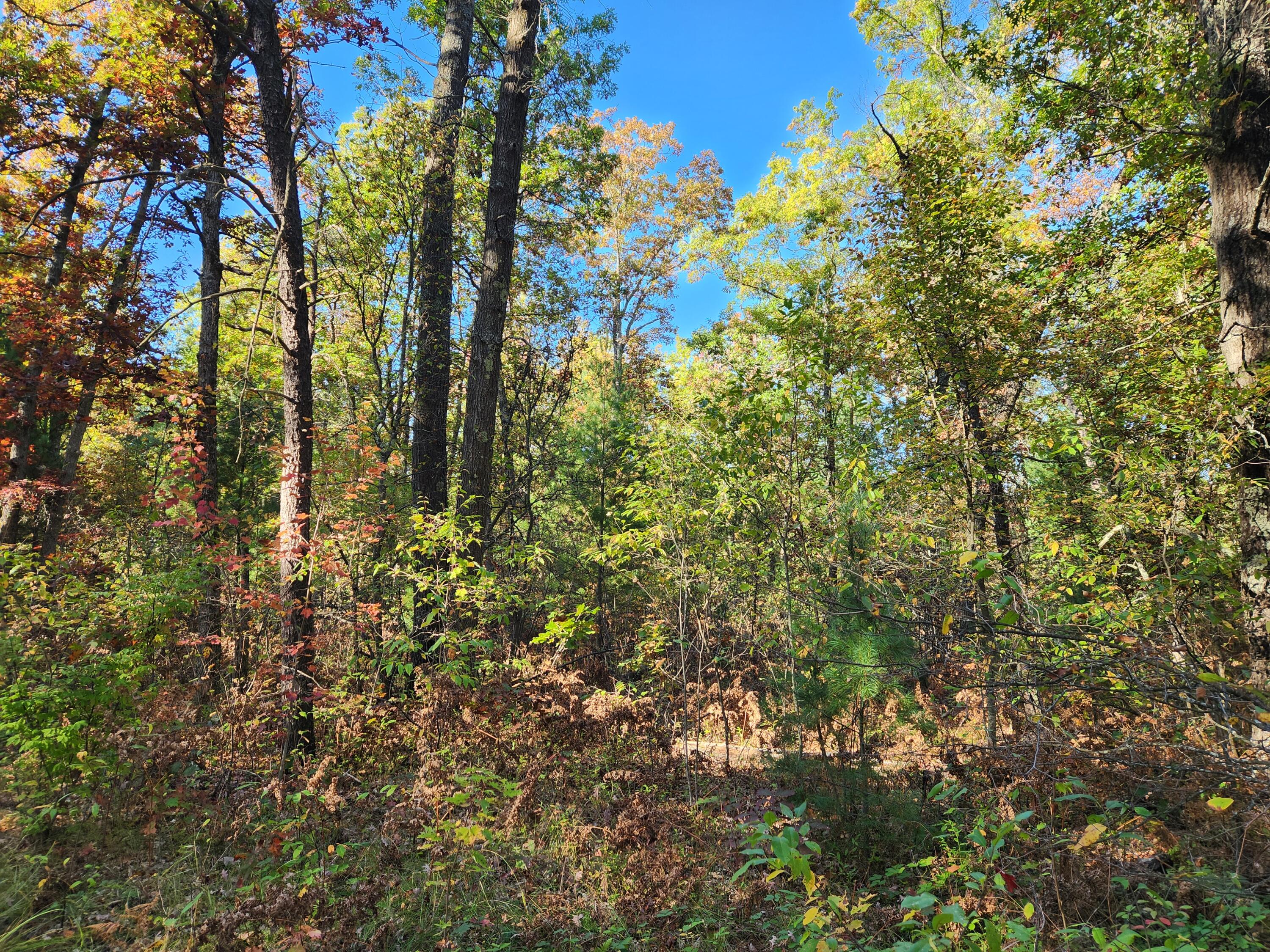 259 South Baker Road Wellston, MI 49689 - Photo 12 of 12 20251012_161635