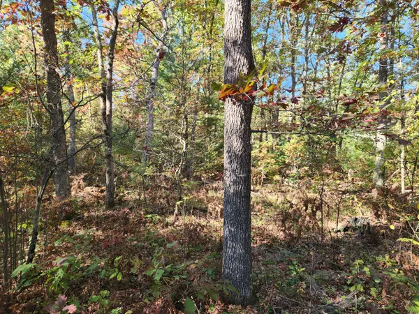 $60,000 | 259 South Baker Road, Wellston, MI 49689