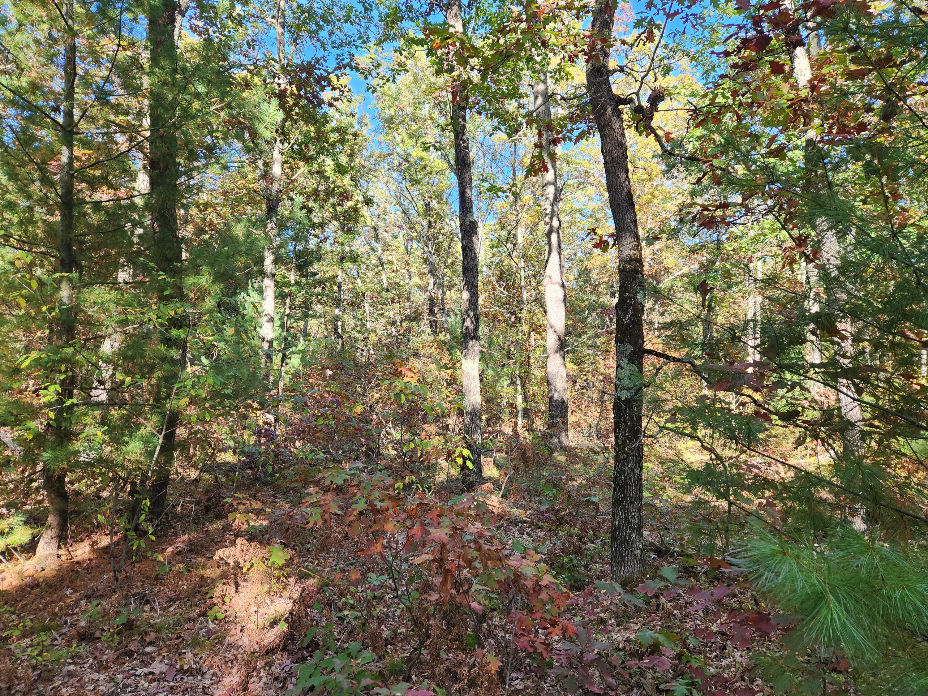 259 South Baker Road Wellston, MI 49689 - Photo 4 of 12 20251012_161213