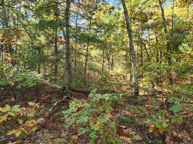 $60,000 | 259 South Baker Road, Wellston, MI 49689