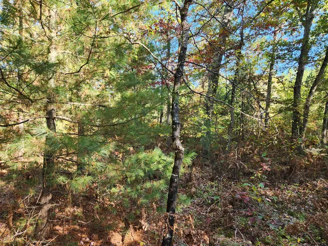 $60,000 | 259 South Baker Road, Wellston, MI 49689