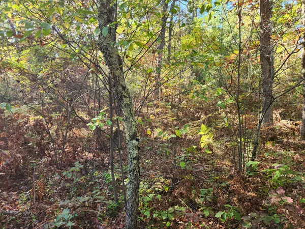 $60,000 | 259 South Baker Road, Wellston, MI 49689