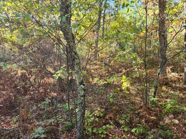 $60,000 | 259 South Baker Road, Wellston, MI 49689