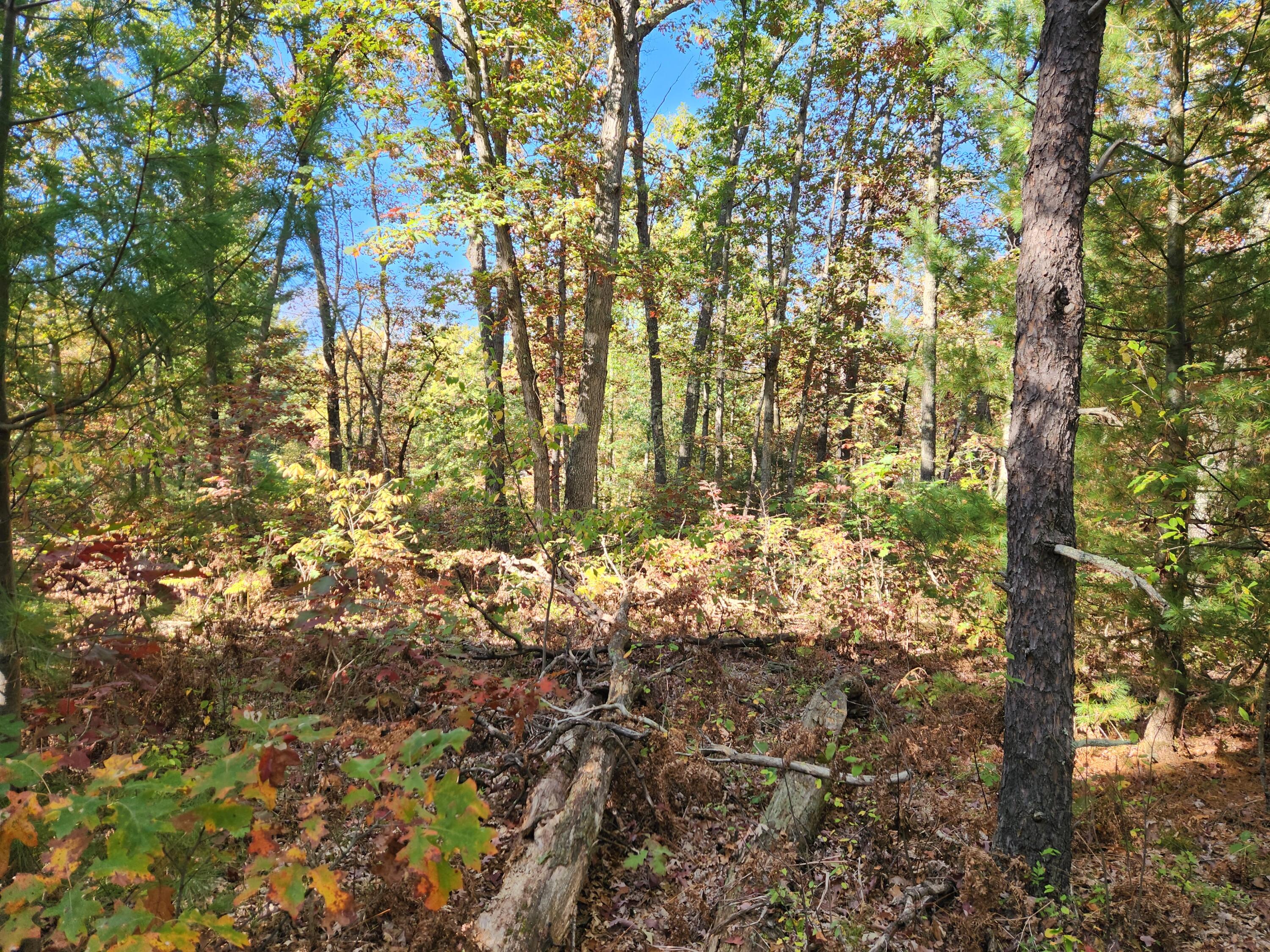 259 South Baker Road Wellston, MI 49689 - Photo 8 of 12 20251012_161209