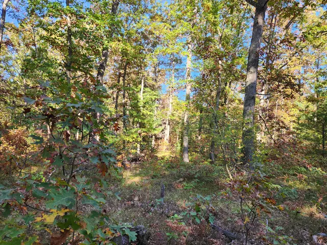 $60,000 | 259 South Baker Road, Wellston, MI 49689