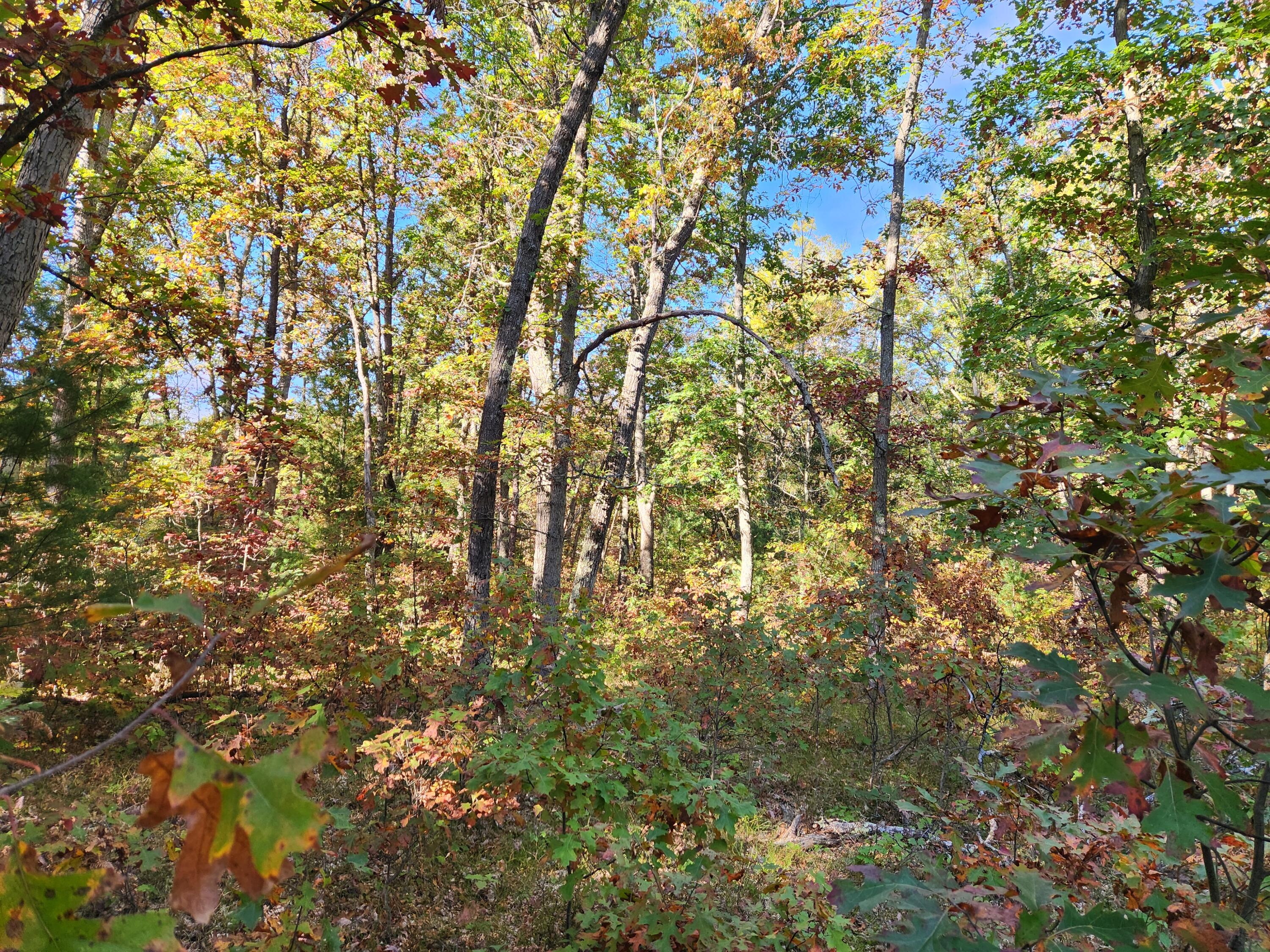 259 South Baker Road Wellston, MI 49689 - Photo 10 of 12 20251012_161431