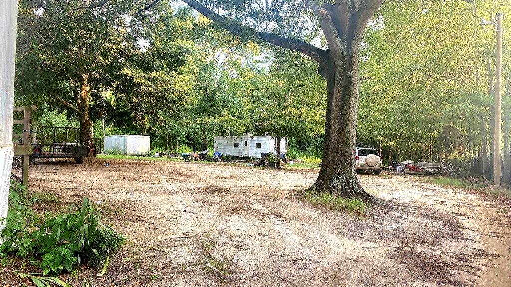1294 Furnie Folks Road Webb, AL 36376 - Photo 3 of 14 Gallery Image 3