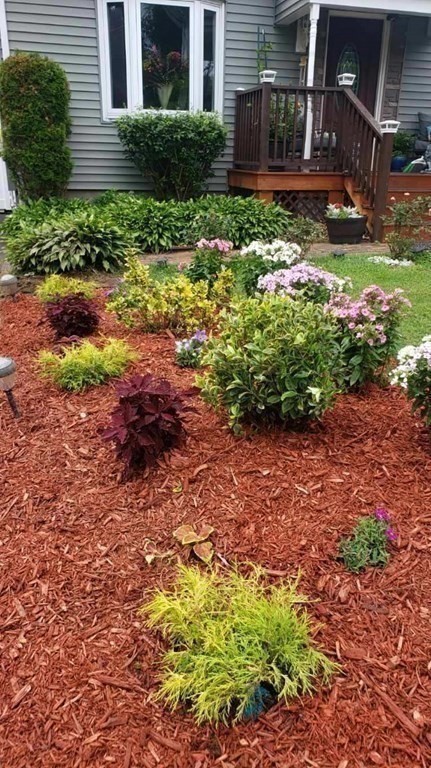 48 Merrill Road Springfield, MA 01119 - Photo 33 of 38 a backyard of a house with lots of green space