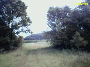 24 Old Stage Coach Road Carnesville, GA 30521 - Photo 1 of 1