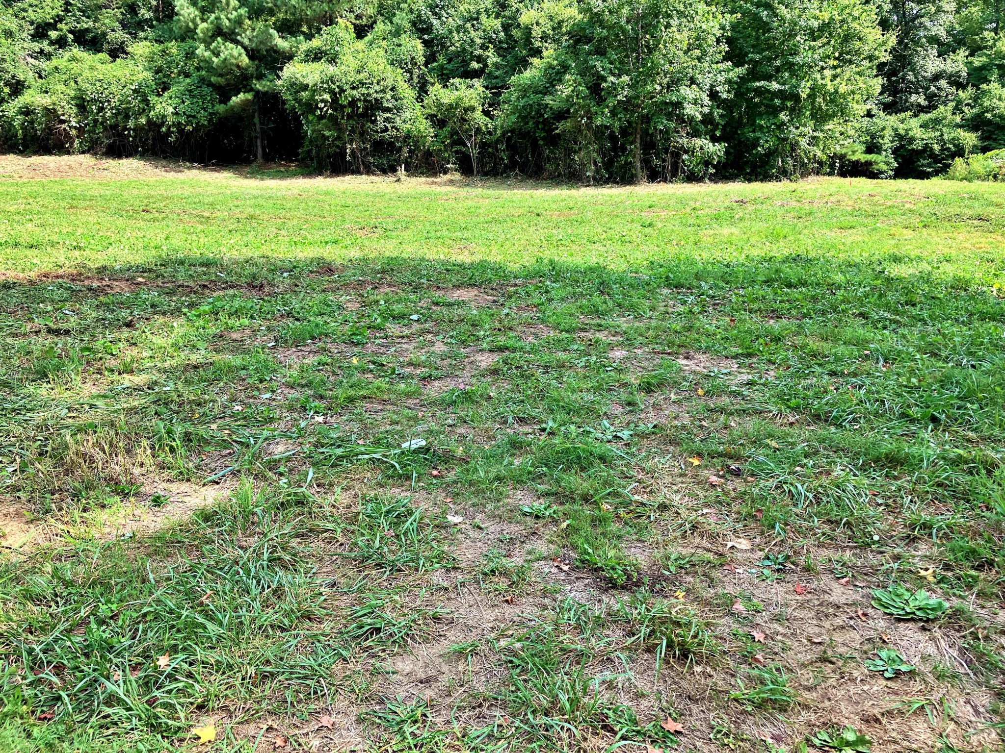 4 Oak Grove Road Decatur, TN 37322 - Photo 2 of 3 Gallery Image 2