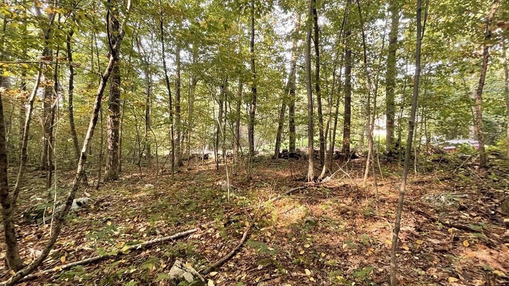 Lot 1 Thompson Pond Road Spencer, MA 01562 - Photo 1 of 11 Gallery Image 1