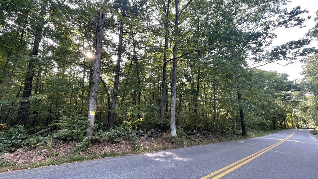 Lot 1 Thompson Pond Road Spencer, MA 01562 - Photo 6 of 11 Gallery Image 6