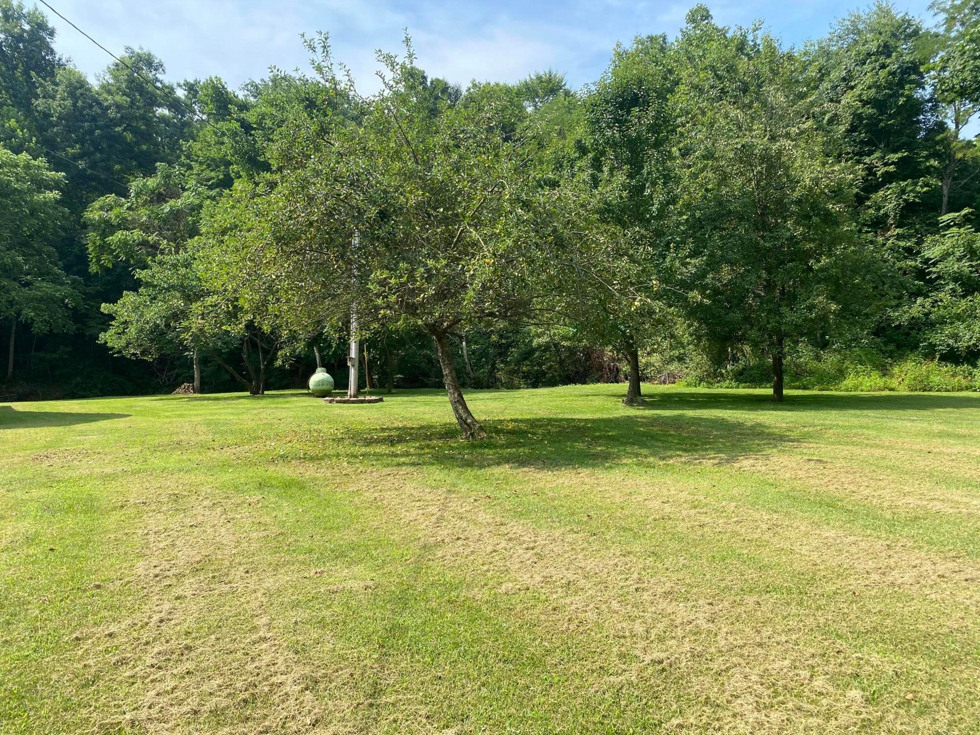 600 Mossbarger Detty Road Piketon, OH 45661 - Photo 6 of 82 0D0BC709-A5F0-410E-92DB-0D944956B5A5