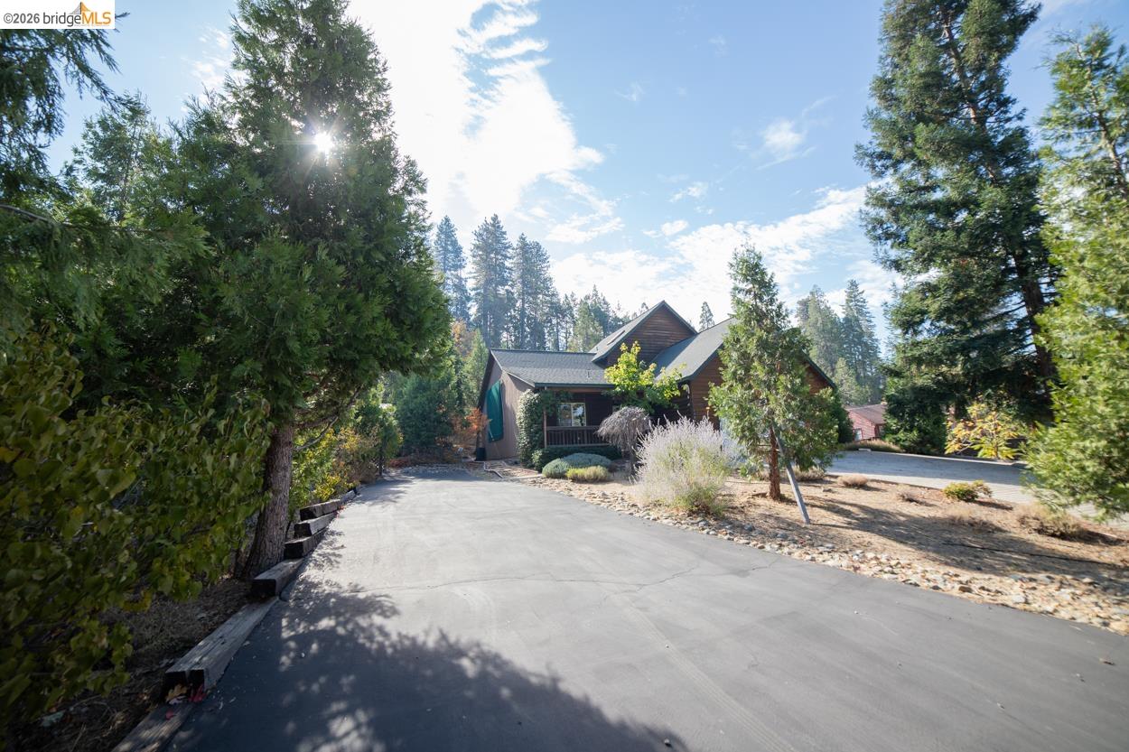 22401 Ridge Road Twain Harte, CA 95383 - Photo 46 of 52 Asphalt driveway leading to a residence with a gabled roofline, visible porch, and surrounding mature trees