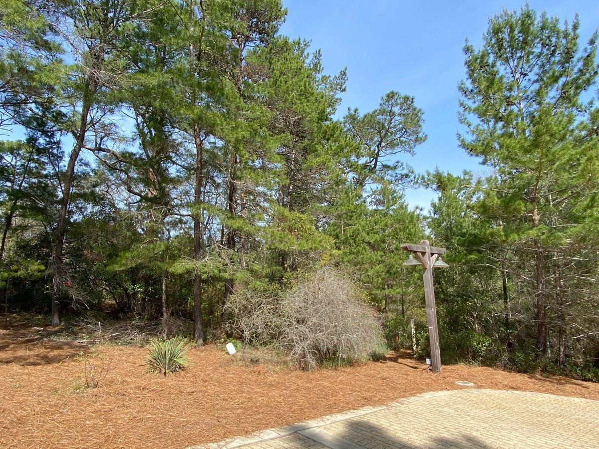 Lot 15-4 North Branch Road Santa Rosa Beach, FL 32459 - Photo 14 of 19 Street View