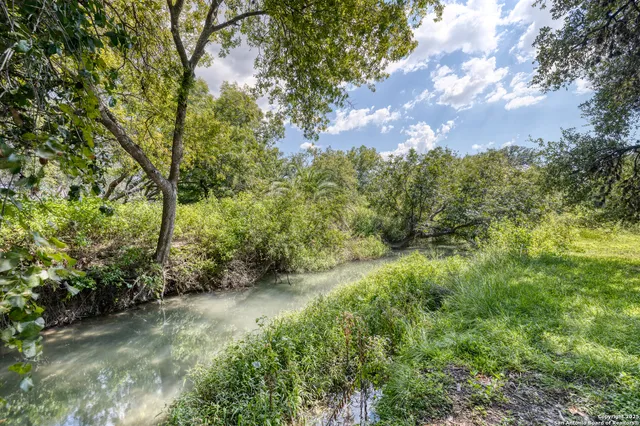 a view of a yard with plants and a trees
