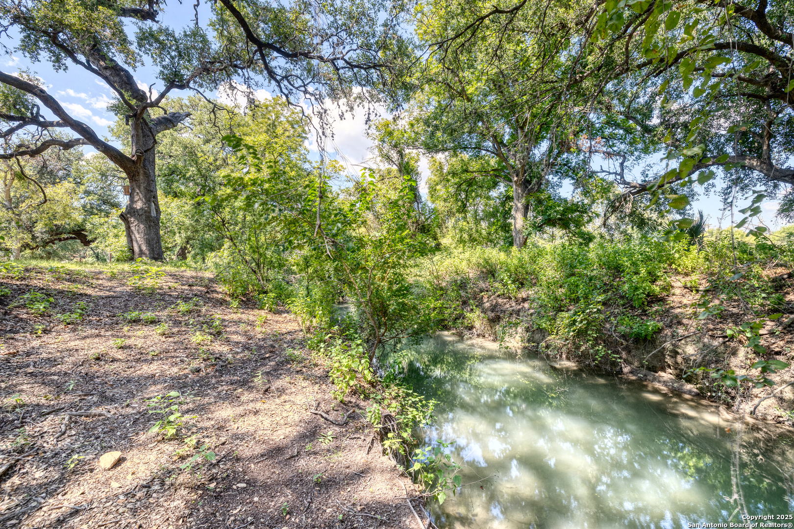 155 Avenida Juarez Road Brackettville, TX 78832 - Photo 4 of 37 a view of yard with trees