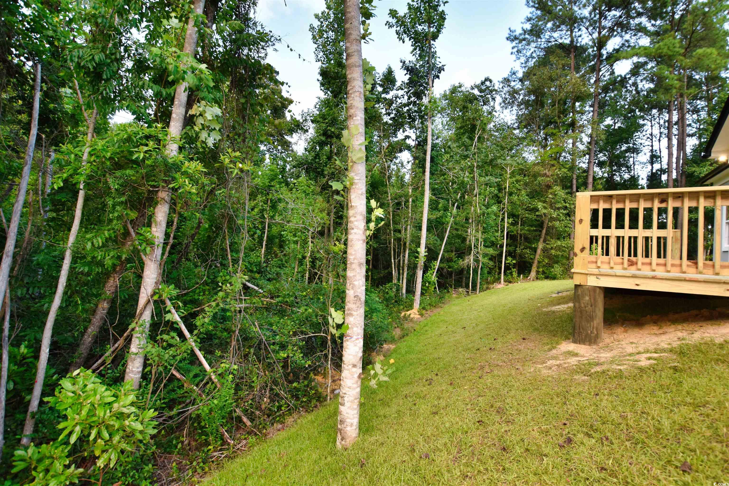 321 Stone Crop Court Loris, SC 29569 - Photo 23 of 25 View of side of home featuring a lawn and a wooden