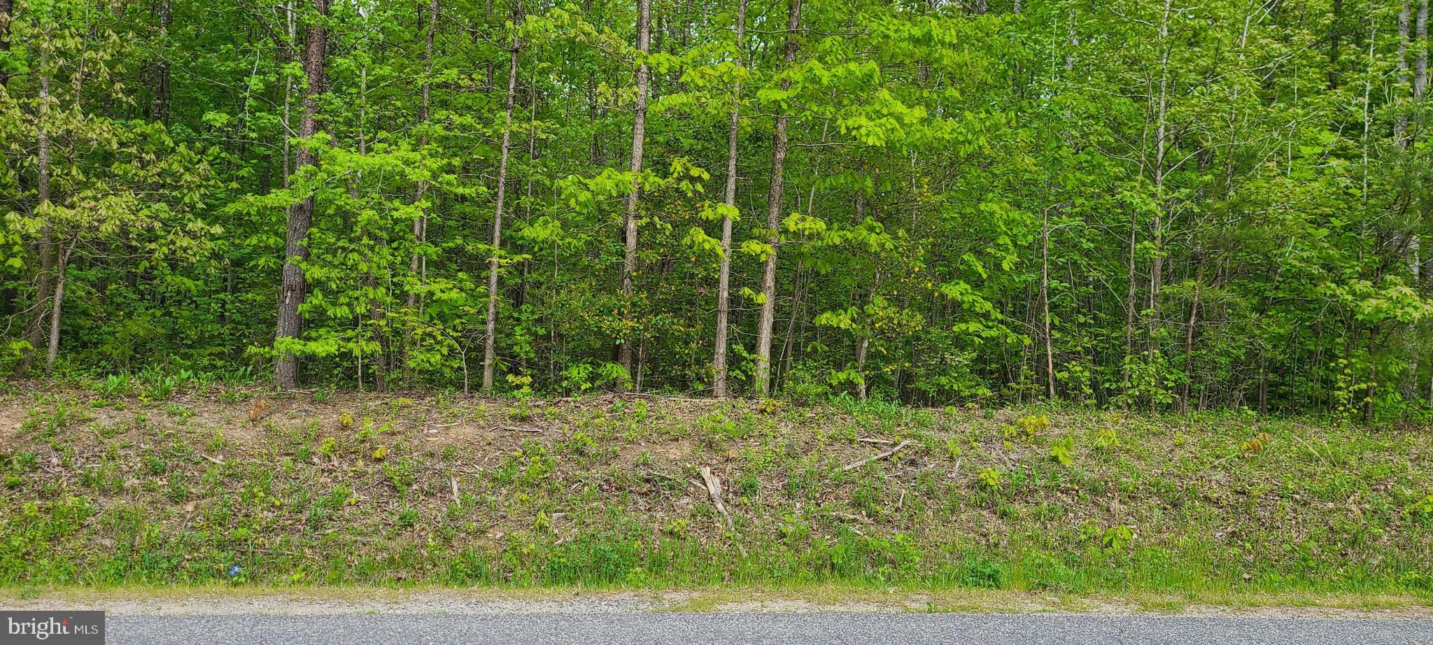 5819 Towles Mill Road Partlow, VA 22534 - Photo 1 of 2 Gallery Image 1