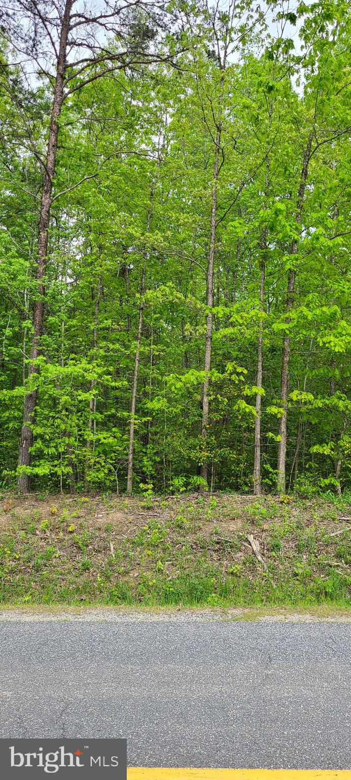 5819 Towles Mill Road Partlow, VA 22534 - Photo 2 of 2 Gallery Image 2